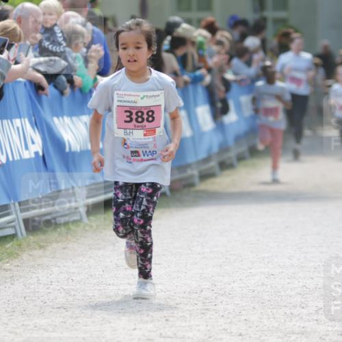 17.05.2025 - Störlauf H.Heesch http://msf.ph/oto/7880189 17.05.2025 14:00:09 Ziel  meine-sportfotos.de