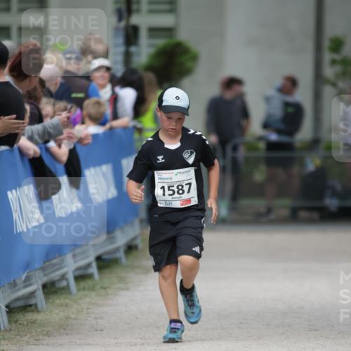 17.05.2025 - Störlauf H.Heesch http://msf.ph/oto/7880374 17.05.2025 14:59:42 Ziel  meine-sportfotos.de