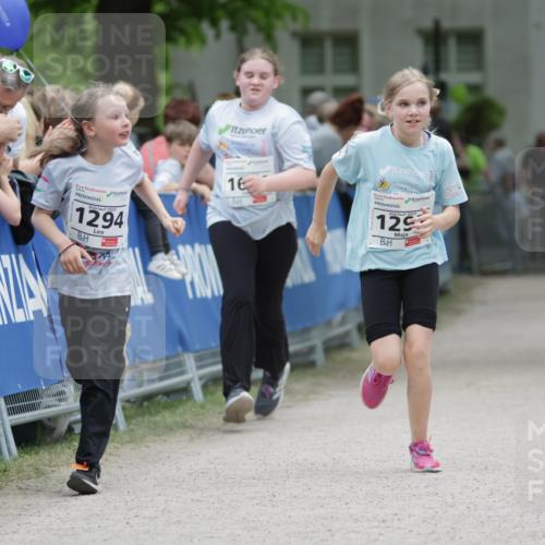 17.05.2025 - Störlauf H.Heesch http://msf.ph/oto/7880509 17.05.2025 15:00:21 Ziel  meine-sportfotos.de
