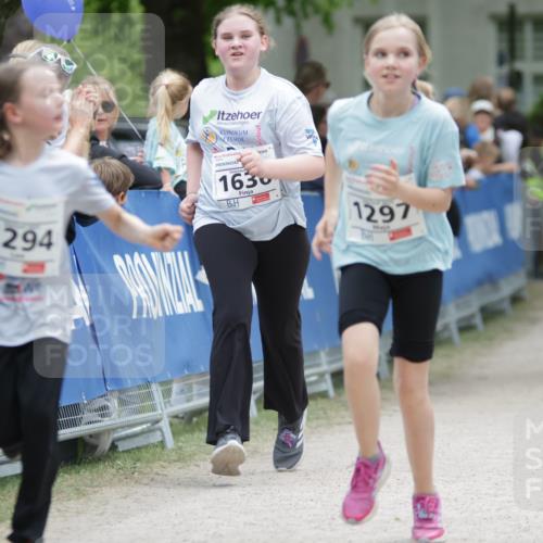 17.05.2025 - Störlauf H.Heesch http://msf.ph/oto/7880515 17.05.2025 15:00:22 Ziel  meine-sportfotos.de