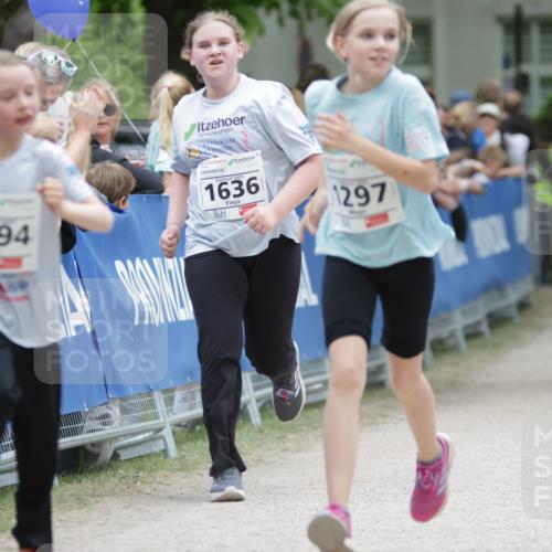 17.05.2025 - Störlauf H.Heesch http://msf.ph/oto/7880518 17.05.2025 15:00:22 Ziel  meine-sportfotos.de