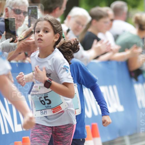 17.05.2025 - Störlauf H.Heesch http://msf.ph/oto/7880669 17.05.2025 13:40:26 Ziel  meine-sportfotos.de
