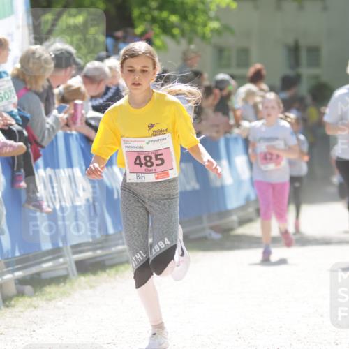 17.05.2025 - Störlauf H.Heesch http://msf.ph/oto/7880732 17.05.2025 14:01:40 Ziel  meine-sportfotos.de