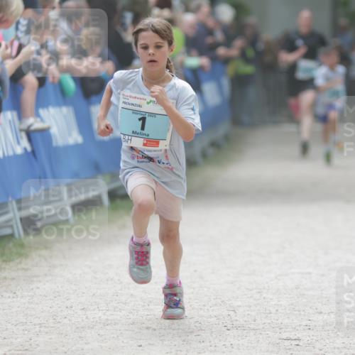 17.05.2025 - Störlauf H.Heesch http://msf.ph/oto/7880791 17.05.2025 13:40:43 Ziel  meine-sportfotos.de