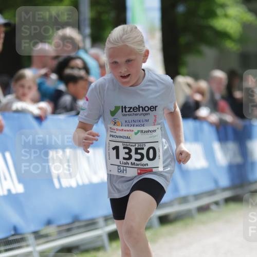 17.05.2025 - Störlauf H.Heesch http://msf.ph/oto/7880806 17.05.2025 15:04:50 Ziel  meine-sportfotos.de