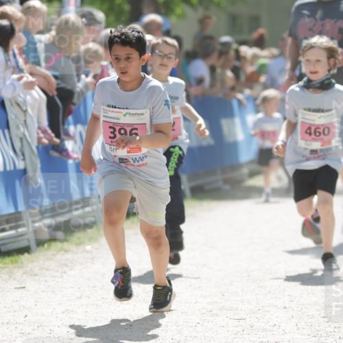 17.05.2025 - Störlauf H.Heesch http://msf.ph/oto/7880820 17.05.2025 14:01:52 Ziel  meine-sportfotos.de