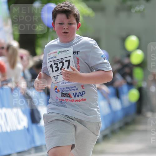 17.05.2025 - Störlauf H.Heesch http://msf.ph/oto/7881021 17.05.2025 15:09:26 Ziel  meine-sportfotos.de