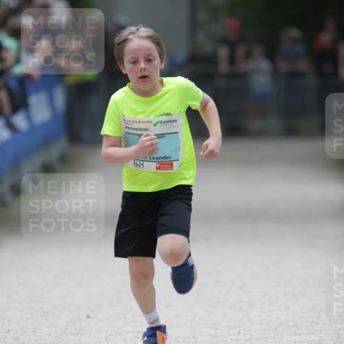 17.05.2025 - Störlauf H.Heesch http://msf.ph/oto/7881122 17.05.2025 13:41:16 Ziel  meine-sportfotos.de