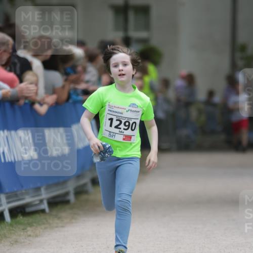 17.05.2025 - Störlauf H.Heesch http://msf.ph/oto/7881123 17.05.2025 15:17:58 Ziel  meine-sportfotos.de