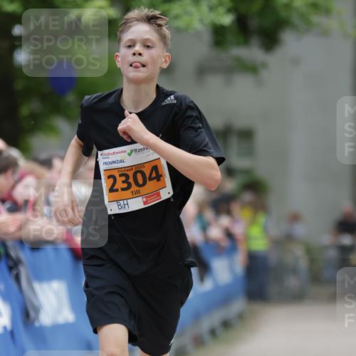17.05.2025 - Störlauf H.Heesch http://msf.ph/oto/7881239 17.05.2025 15:21:41 Ziel  meine-sportfotos.de