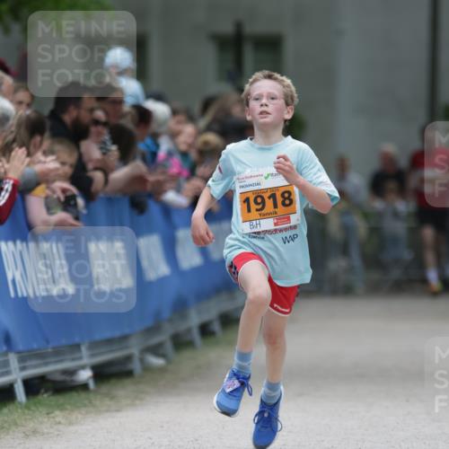 17.05.2025 - Störlauf H.Heesch http://msf.ph/oto/7881441 17.05.2025 15:24:31 Ziel  meine-sportfotos.de