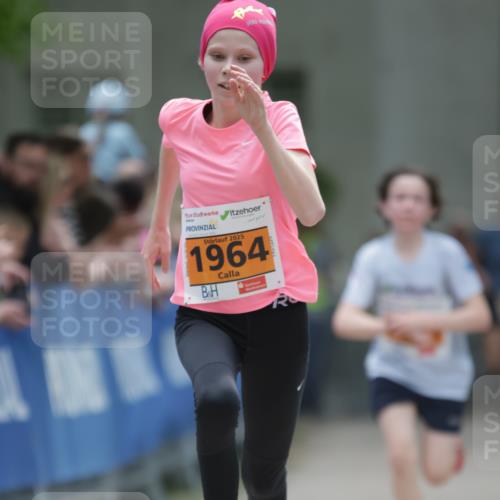 17.05.2025 - Störlauf H.Heesch http://msf.ph/oto/7881595 17.05.2025 15:25:59 Ziel  meine-sportfotos.de