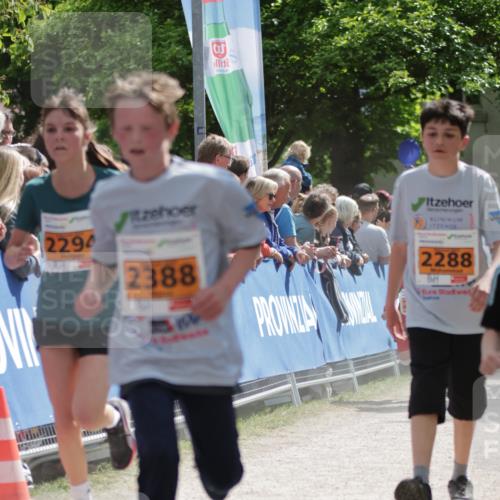 17.05.2025 - Störlauf H.Heesch http://msf.ph/oto/7882025 17.05.2025 15:29:56 Ziel  meine-sportfotos.de