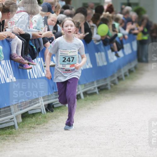 17.05.2025 - Störlauf H.Heesch http://msf.ph/oto/7893296 17.05.2025 13:41:43 Ziel 70, 247 meine-sportfotos.de