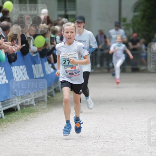 17.05.2025 - Störlauf H.Heesch http://msf.ph/oto/7893316 17.05.2025 13:41:49 Ziel 27 meine-sportfotos.de
