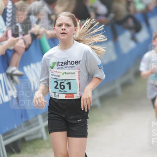 17.05.2025 - Störlauf H.Heesch http://msf.ph/oto/7893484 17.05.2025 13:42:38 Ziel 2025, 261 meine-sportfotos.de