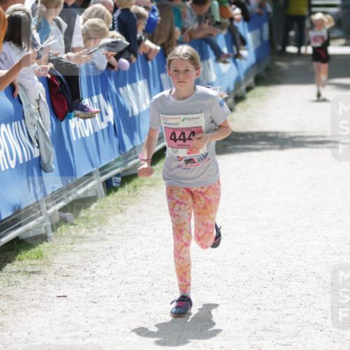 17.05.2025 - Störlauf H.Heesch http://msf.ph/oto/7893509 17.05.2025 14:04:51 Ziel 2025, 444, 11 meine-sportfotos.de