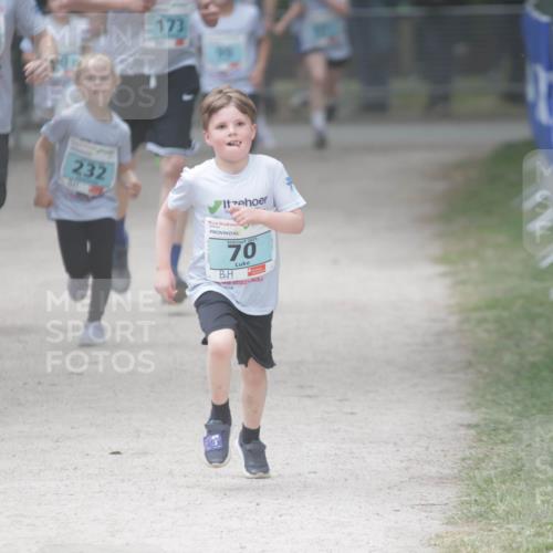 17.05.2025 - Störlauf H.Heesch http://msf.ph/oto/7893674 17.05.2025 13:43:41 Ziel 841, 7, 232, 173, 2025, 70 meine-sportfotos.de