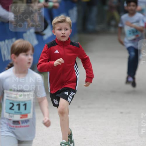 17.05.2025 - Störlauf H.Heesch http://msf.ph/oto/7893757 17.05.2025 13:44:02 Ziel 211 meine-sportfotos.de