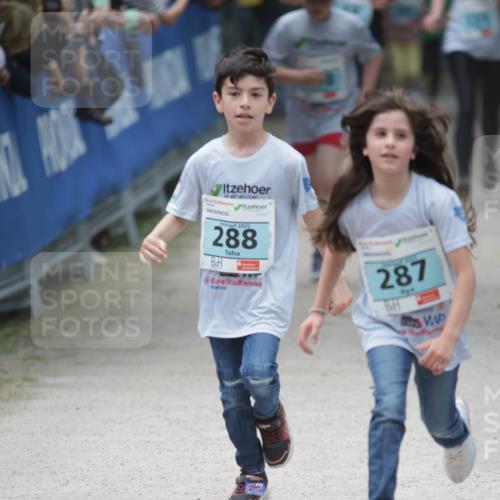 17.05.2025 - Störlauf H.Heesch http://msf.ph/oto/7893774 17.05.2025 13:44:05 Ziel 2025, 288, 287 meine-sportfotos.de