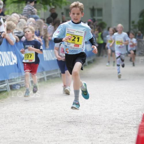 17.05.2025 - Störlauf H.Heesch http://msf.ph/oto/7893829 17.05.2025 14:10:38 Ziel 737, 2025, 21 meine-sportfotos.de