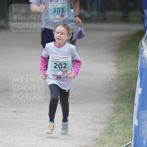17.05.2025 - Störlauf H.Heesch http://msf.ph/oto/7893832 17.05.2025 13:44:32 Ziel 203, 2025, 202 meine-sportfotos.de