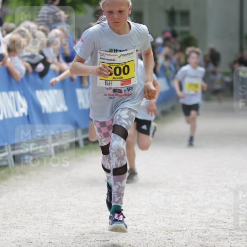 17.05.2025 - Störlauf H.Heesch http://msf.ph/oto/7893853 17.05.2025 14:10:41 Ziel 2025 meine-sportfotos.de