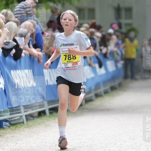 17.05.2025 - Störlauf H.Heesch http://msf.ph/oto/7894003 17.05.2025 14:11:23 Ziel 788 meine-sportfotos.de