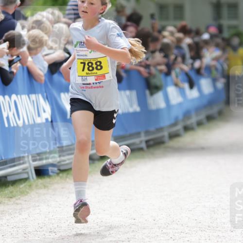 17.05.2025 - Störlauf H.Heesch http://msf.ph/oto/7894014 17.05.2025 14:11:24 Ziel 2025, 788 meine-sportfotos.de