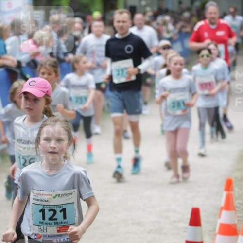 17.05.2025 - Störlauf H.Heesch http://msf.ph/oto/7894038 17.05.2025 13:45:35 Ziel 126, 2025, 121 meine-sportfotos.de