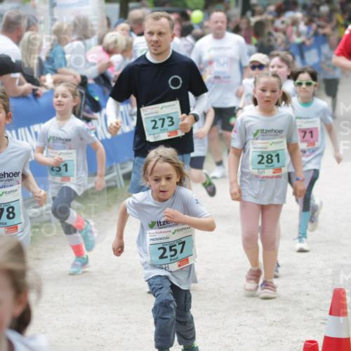 17.05.2025 - Störlauf H.Heesch http://msf.ph/oto/7894042 17.05.2025 13:45:36 Ziel 6, 2025, 178, 51, 273, 71, 2025, 257, 281, 334 meine-sportfotos.de
