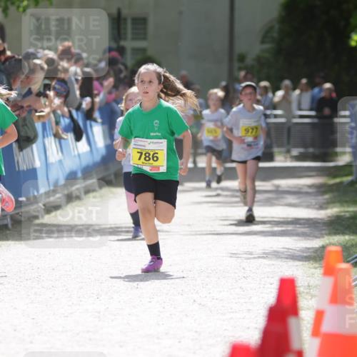 17.05.2025 - Störlauf H.Heesch http://msf.ph/oto/7894203 17.05.2025 14:12:20 Ziel 79, 786 meine-sportfotos.de