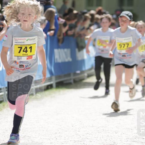 17.05.2025 - Störlauf H.Heesch http://msf.ph/oto/7894214 17.05.2025 14:12:24 Ziel 2025, 741, 977, 739 meine-sportfotos.de