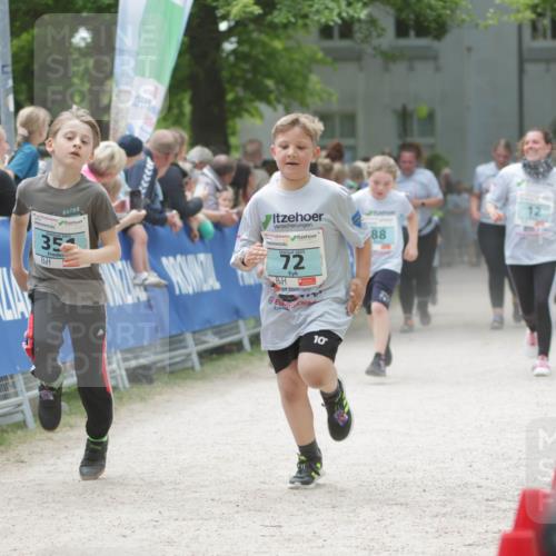 17.05.2025 - Störlauf H.Heesch http://msf.ph/oto/7894260 17.05.2025 13:46:40 Ziel 35, 2025, 72, 88, 10 meine-sportfotos.de