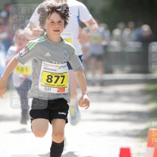 17.05.2025 - Störlauf H.Heesch http://msf.ph/oto/7894286 17.05.2025 14:12:37 Ziel 2025, 877 meine-sportfotos.de