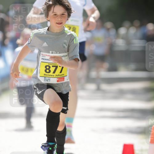 17.05.2025 - Störlauf H.Heesch http://msf.ph/oto/7894288 17.05.2025 14:12:37 Ziel 877 meine-sportfotos.de