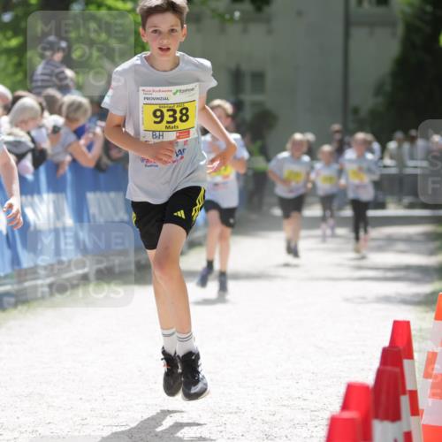 17.05.2025 - Störlauf H.Heesch http://msf.ph/oto/7894318 17.05.2025 14:12:44 Ziel 950, 2025, 938 meine-sportfotos.de