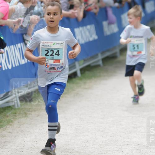 17.05.2025 - Störlauf H.Heesch http://msf.ph/oto/7894376 17.05.2025 13:47:07 Ziel 2025, 224, 51 meine-sportfotos.de