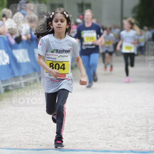 17.05.2025 - Störlauf H.Heesch http://msf.ph/oto/7894482 17.05.2025 14:14:02 Ziel 2025, 804 meine-sportfotos.de
