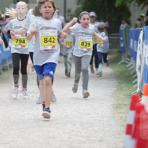 17.05.2025 - Störlauf H.Heesch http://msf.ph/oto/7894701 17.05.2025 14:14:33 Ziel 2025, 957, 746, 794, 842, 839 meine-sportfotos.de