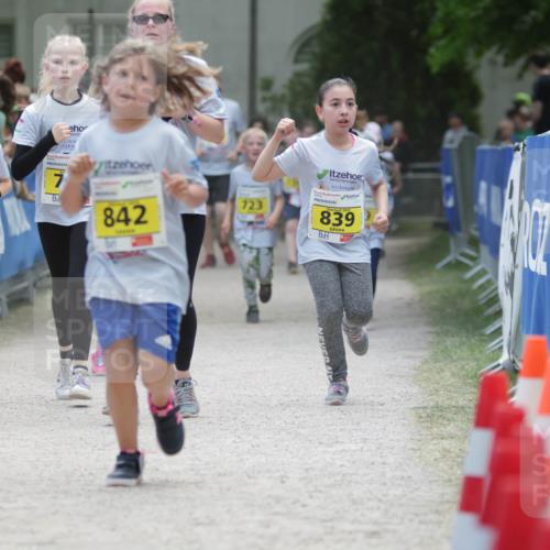 17.05.2025 - Störlauf H.Heesch http://msf.ph/oto/7894709 17.05.2025 14:14:33 Ziel 5, 746, 7, 842, 723, 839 meine-sportfotos.de