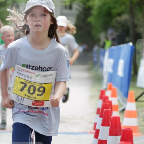 17.05.2025 - Störlauf H.Heesch http://msf.ph/oto/7894733 17.05.2025 14:14:39 Ziel 2025, 709, 533 meine-sportfotos.de