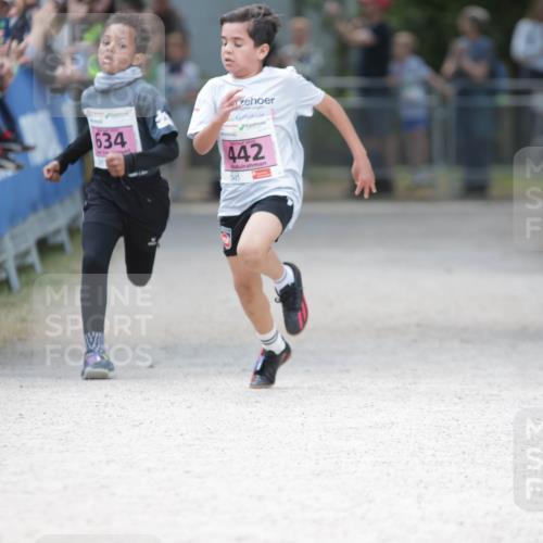 17.05.2025 - Störlauf H.Heesch http://msf.ph/oto/7894767 17.05.2025 13:54:26 Ziel 634, 2025, 442 meine-sportfotos.de