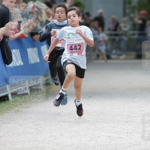 17.05.2025 - Störlauf H.Heesch http://msf.ph/oto/7894771 17.05.2025 13:54:26 Ziel 2025, 442 meine-sportfotos.de