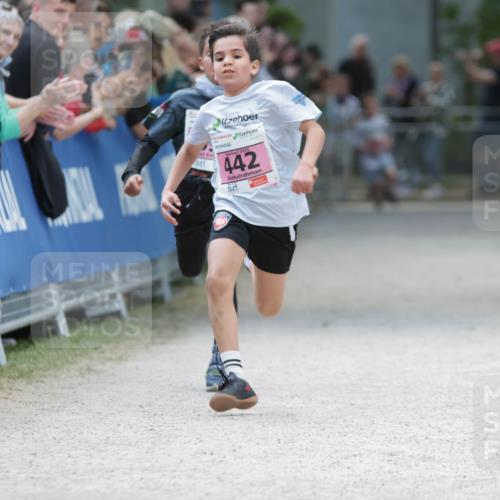 17.05.2025 - Störlauf H.Heesch http://msf.ph/oto/7894773 17.05.2025 13:54:26 Ziel 2025, 442 meine-sportfotos.de
