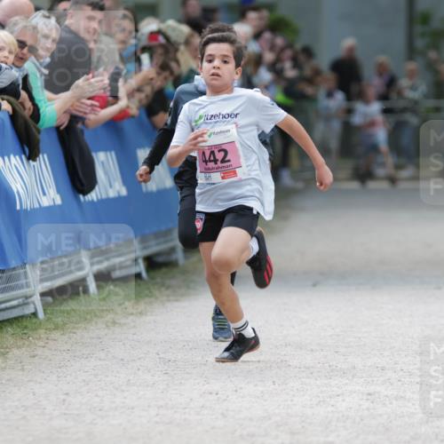 17.05.2025 - Störlauf H.Heesch http://msf.ph/oto/7894775 17.05.2025 13:54:27 Ziel 2025, 442 meine-sportfotos.de