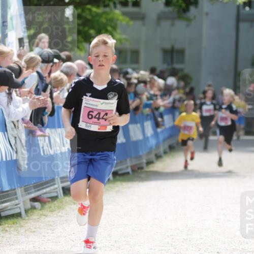 17.05.2025 - Störlauf H.Heesch http://msf.ph/oto/7894944 17.05.2025 13:55:37 Ziel 2025, 644 meine-sportfotos.de