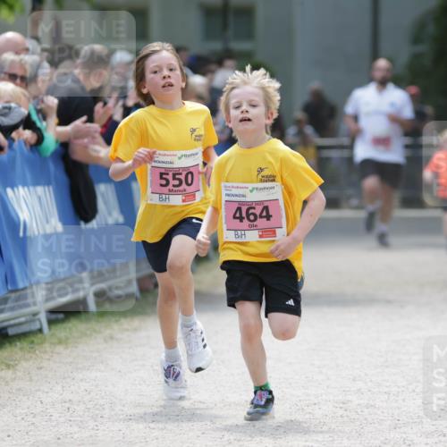 17.05.2025 - Störlauf H.Heesch http://msf.ph/oto/7894980 17.05.2025 13:55:53 Ziel 2025, 550, 2025, 464 meine-sportfotos.de