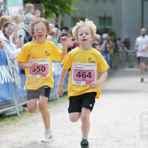 17.05.2025 - Störlauf H.Heesch http://msf.ph/oto/7894991 17.05.2025 13:55:54 Ziel 2025, 550, 2025, 464 meine-sportfotos.de