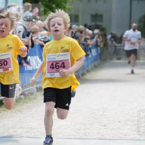 17.05.2025 - Störlauf H.Heesch http://msf.ph/oto/7894998 17.05.2025 13:55:55 Ziel 2025, 550, 2025, 464 meine-sportfotos.de